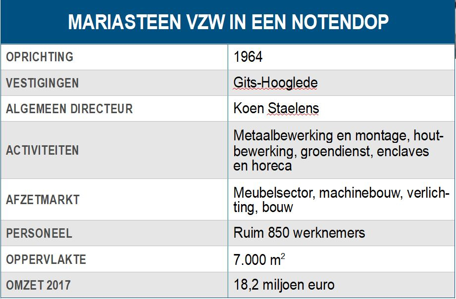Mariasteen vzw in een notendop