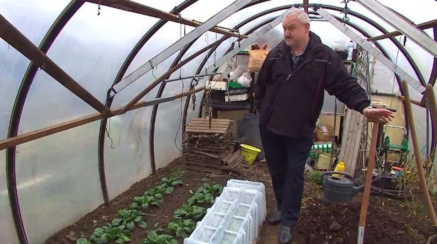 Comment aménager un jardin potager?