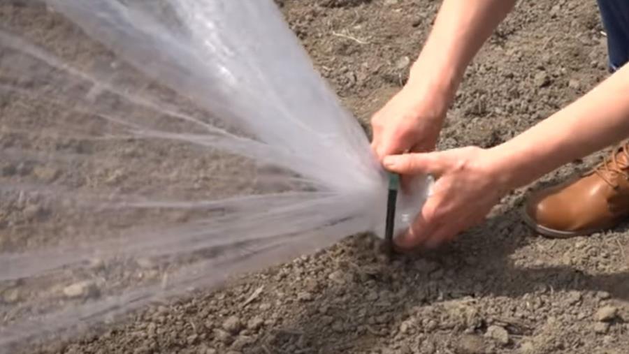 Hoe kies je de juiste tuinfolie voor je planten?