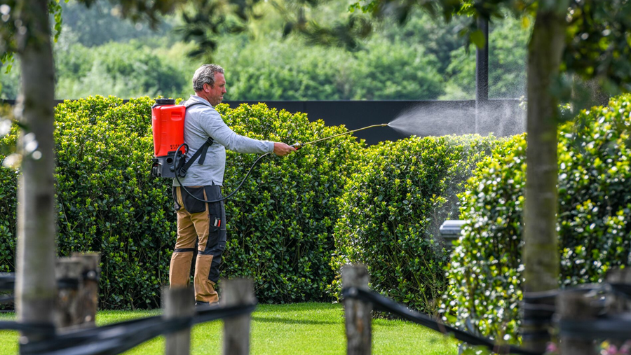 DCM impressionne au Green Expo '24 avec ses solutions de jardinage