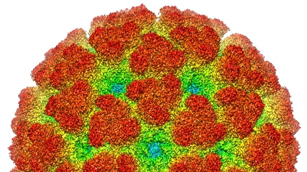 Chikungunyavirus breidt verder uit in China