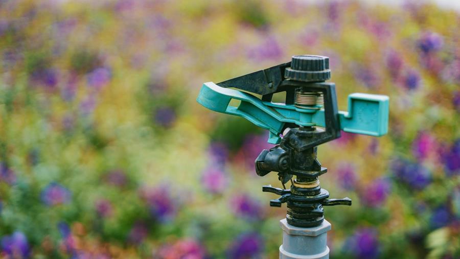 Comment arroser votre jardin avec des gicleurs?