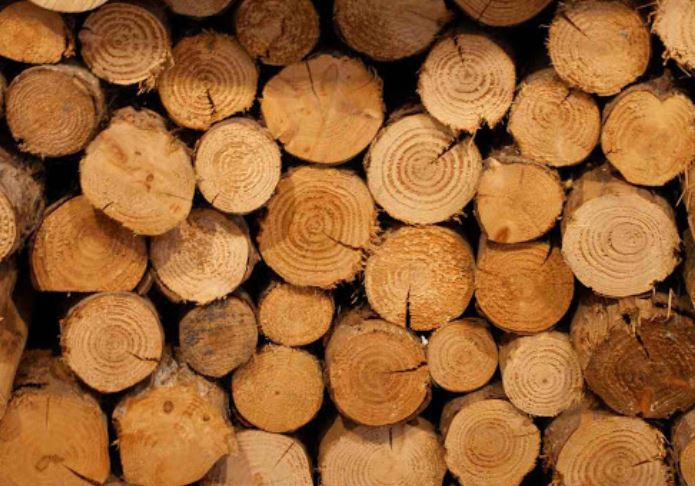 toekomst in de houtsector